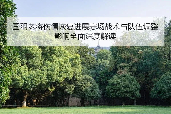 guo-yu-lao-jiang-shang-qing-hui-fu-jin-zhan-sai-chang-zhan-shu-yu-dui-wu-tiao-zheng-ying-xiang-quan-mian-shen-du-jie-du-2-487.jpg